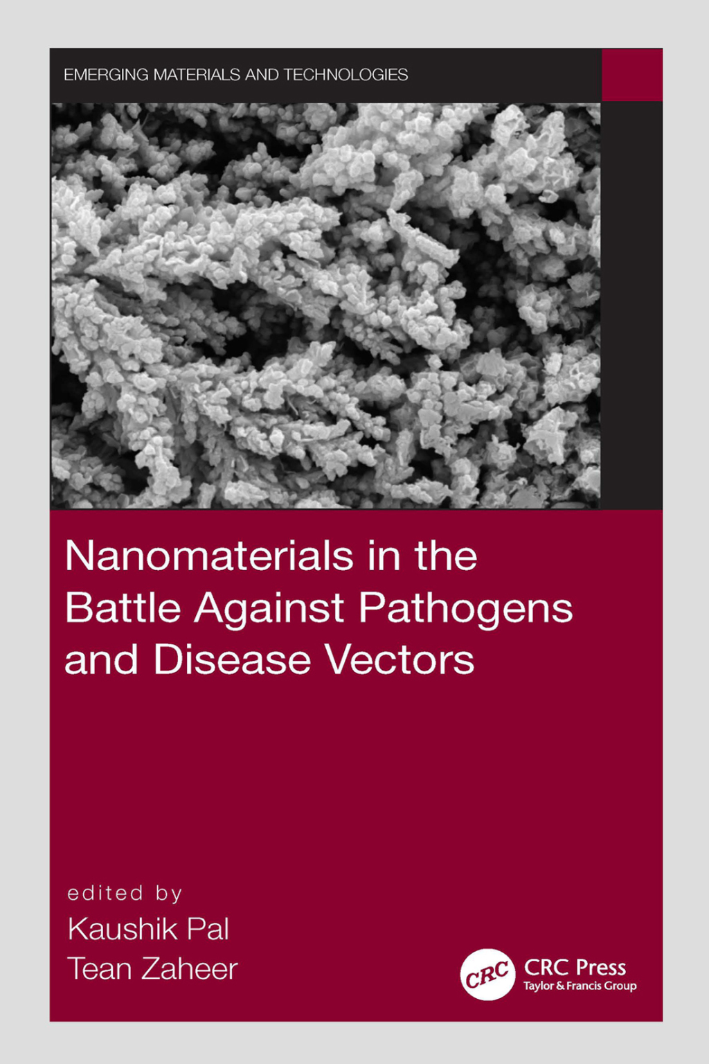 Nanomaterials in the Battle Against Pathogens and Disease Vectors 1st Edition â€“ PDF/EPUB Version Downloadable