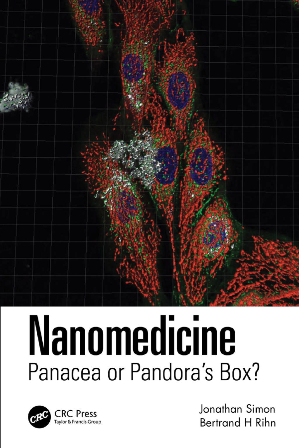 Nanomedicine Panacea or Pandora's Box? 1st Edition â€“ PDF/EPUB Version Downloadable