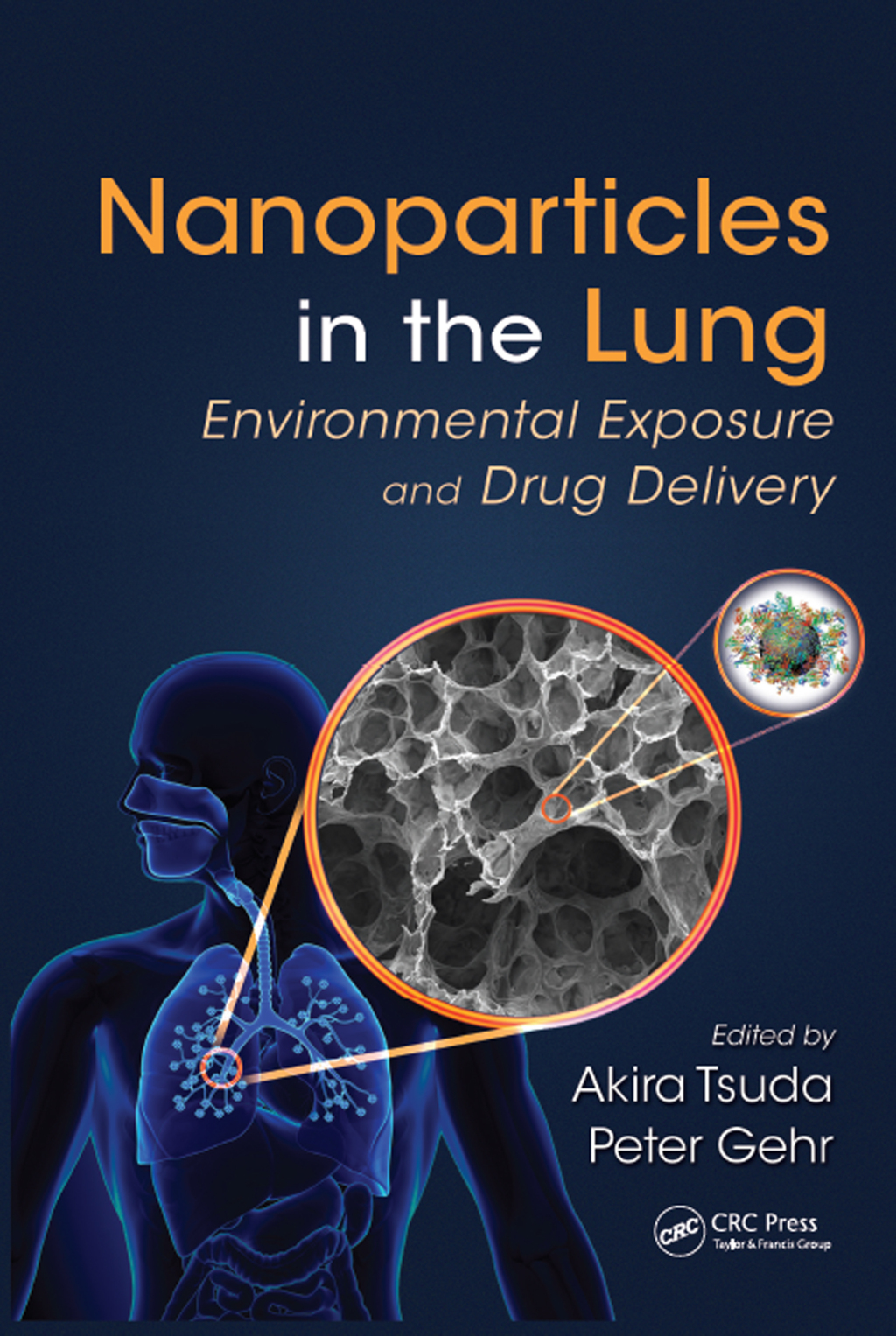 Nanoparticles in the Lung Environmental Exposure and Drug Delivery 1st Edition â€“ PDF/EPUB Version Downloadable