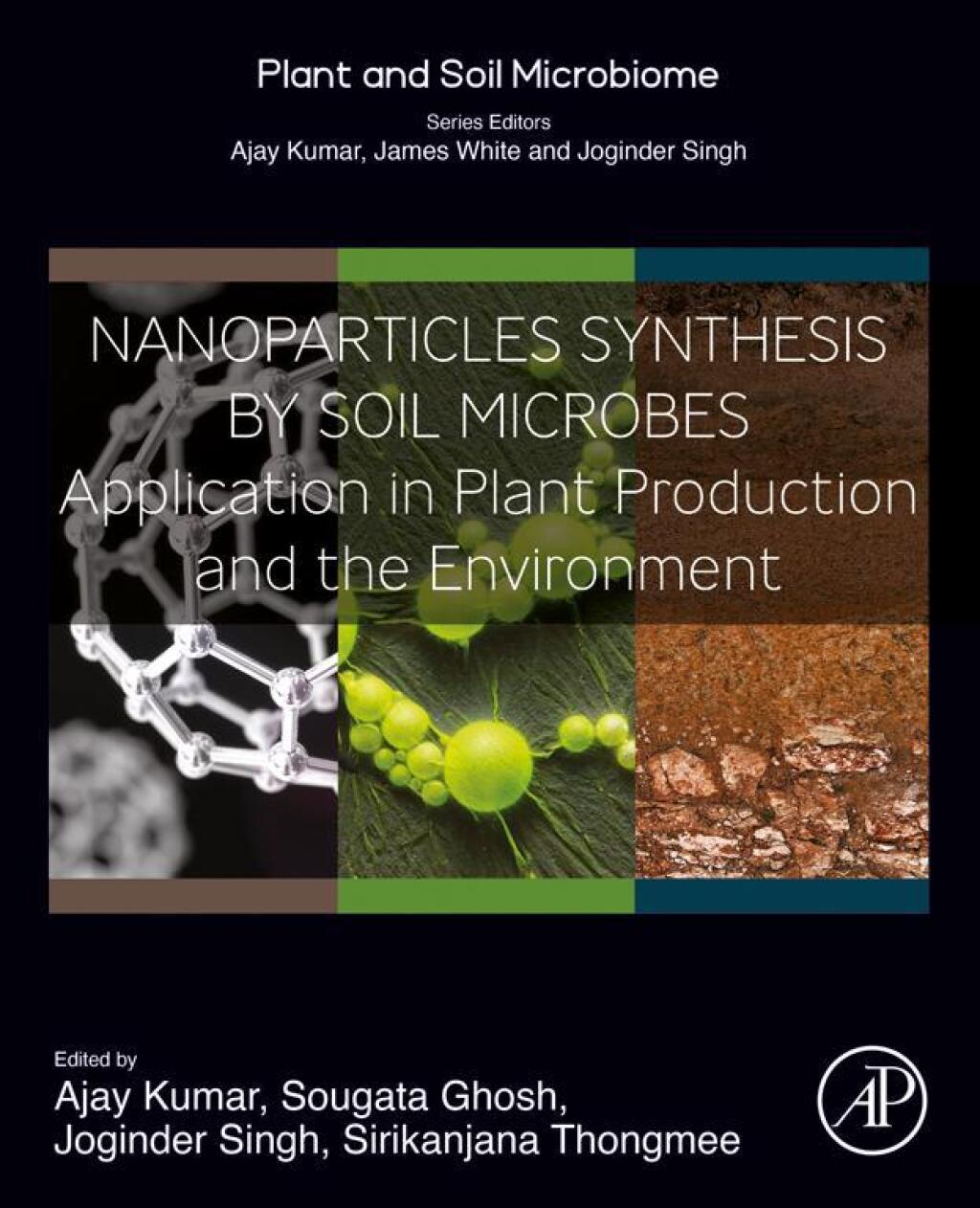 Nanoparticles Synthesis by Soil Microbes Application in Plant Production and the Environment 1st Edition â€“ PDF/EPUB Version Downloadable