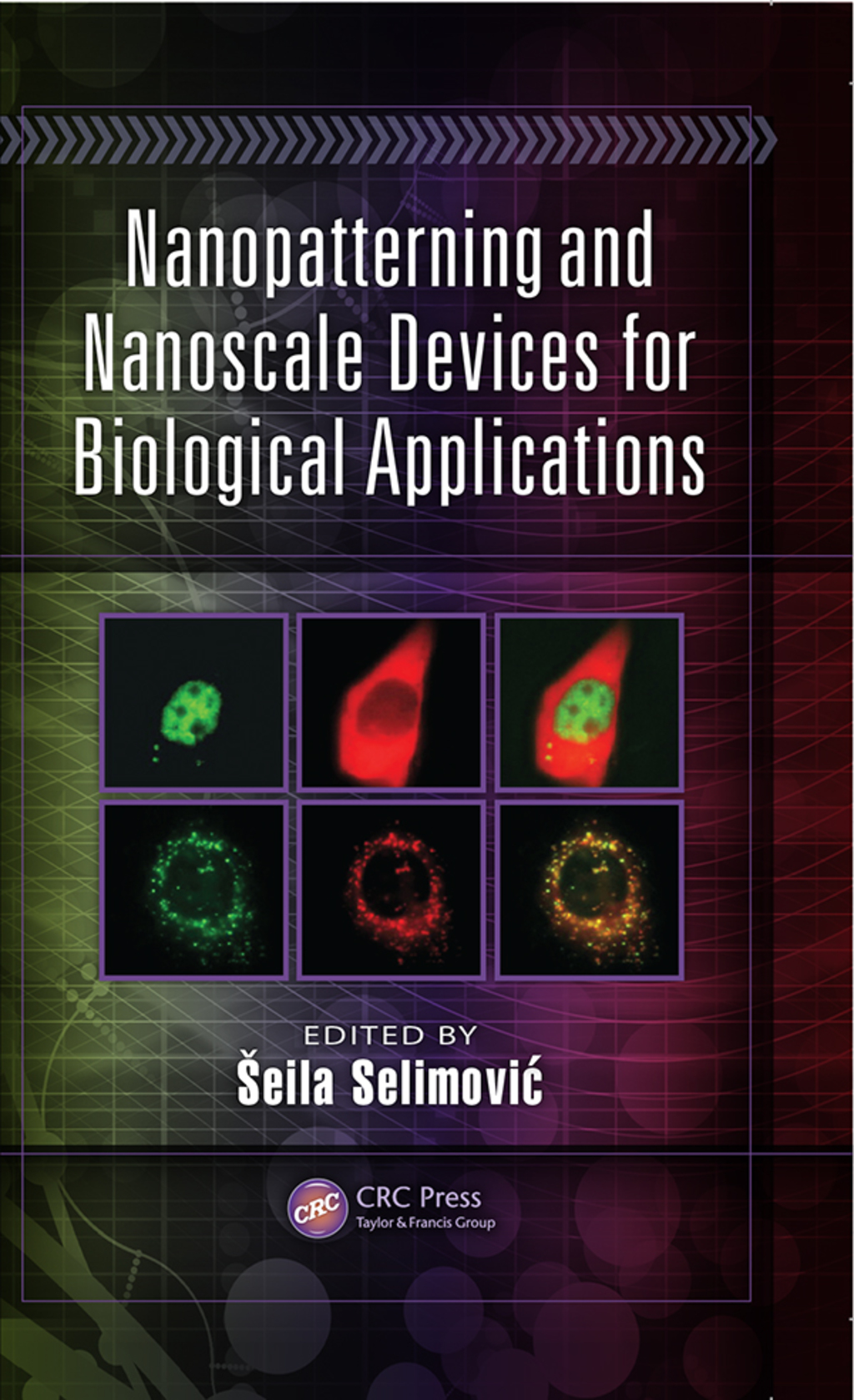 Nanopatterning and Nanoscale Devices for Biological Applications 1st Edition â€“ PDF/EPUB Version Downloadable