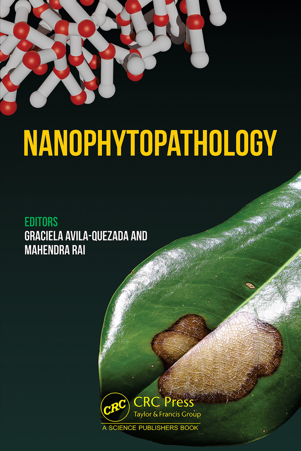 Nanophytopathology 1st Edition â€“ PDF/EPUB Version Downloadable