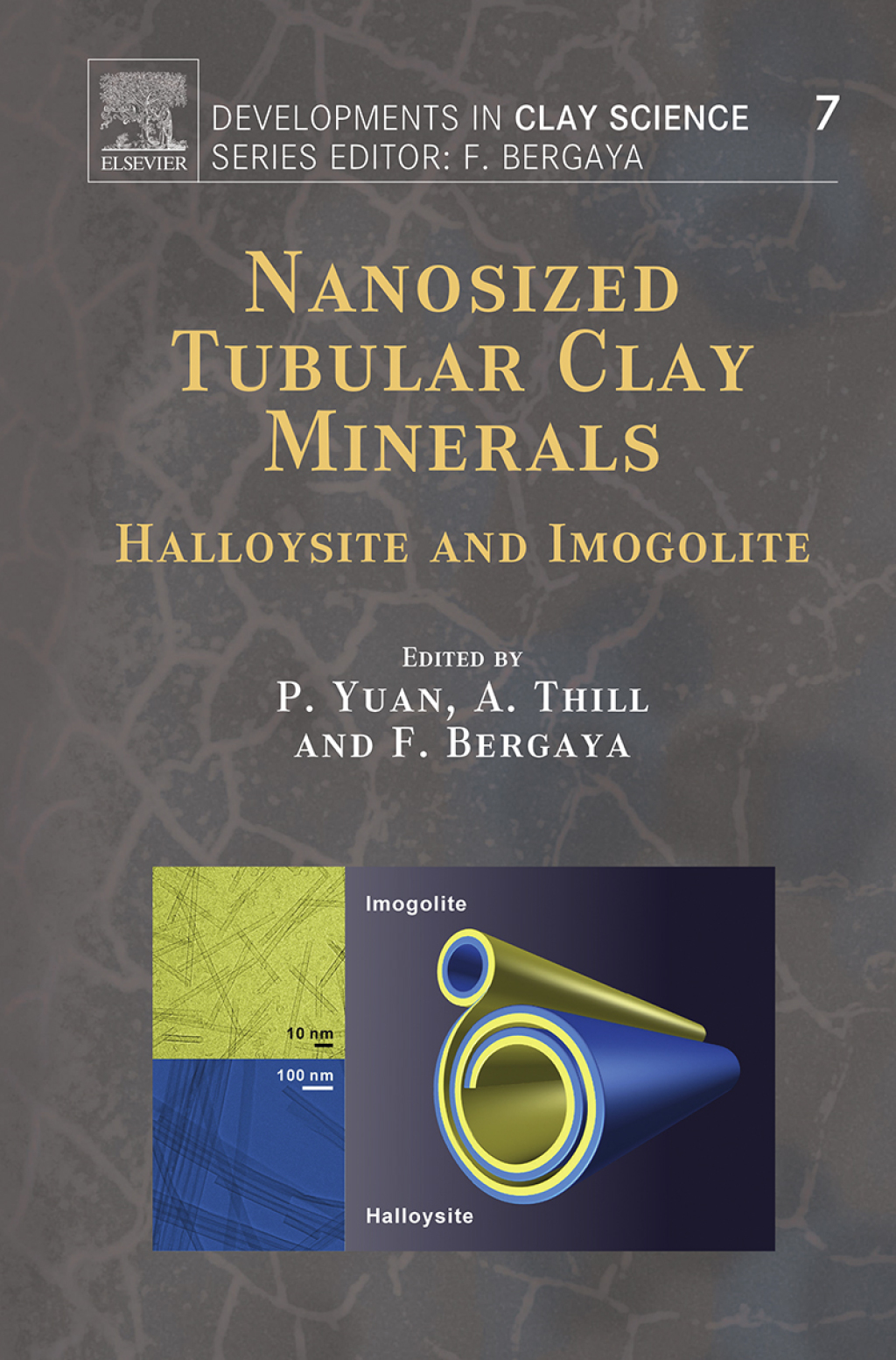 Nanosized Tubular Clay Minerals Halloysite and Imogolite  â€“ PDF/EPUB Version Downloadable