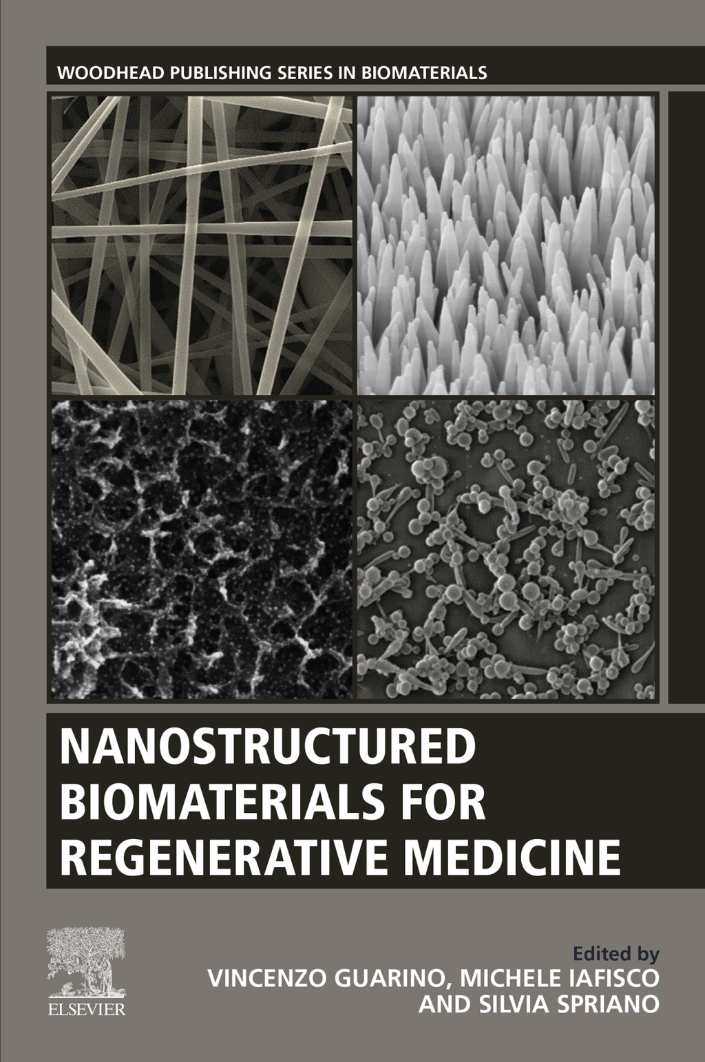 Nanostructured Biomaterials for Regenerative Medicine  â€“ PDF/EPUB Version Downloadable
