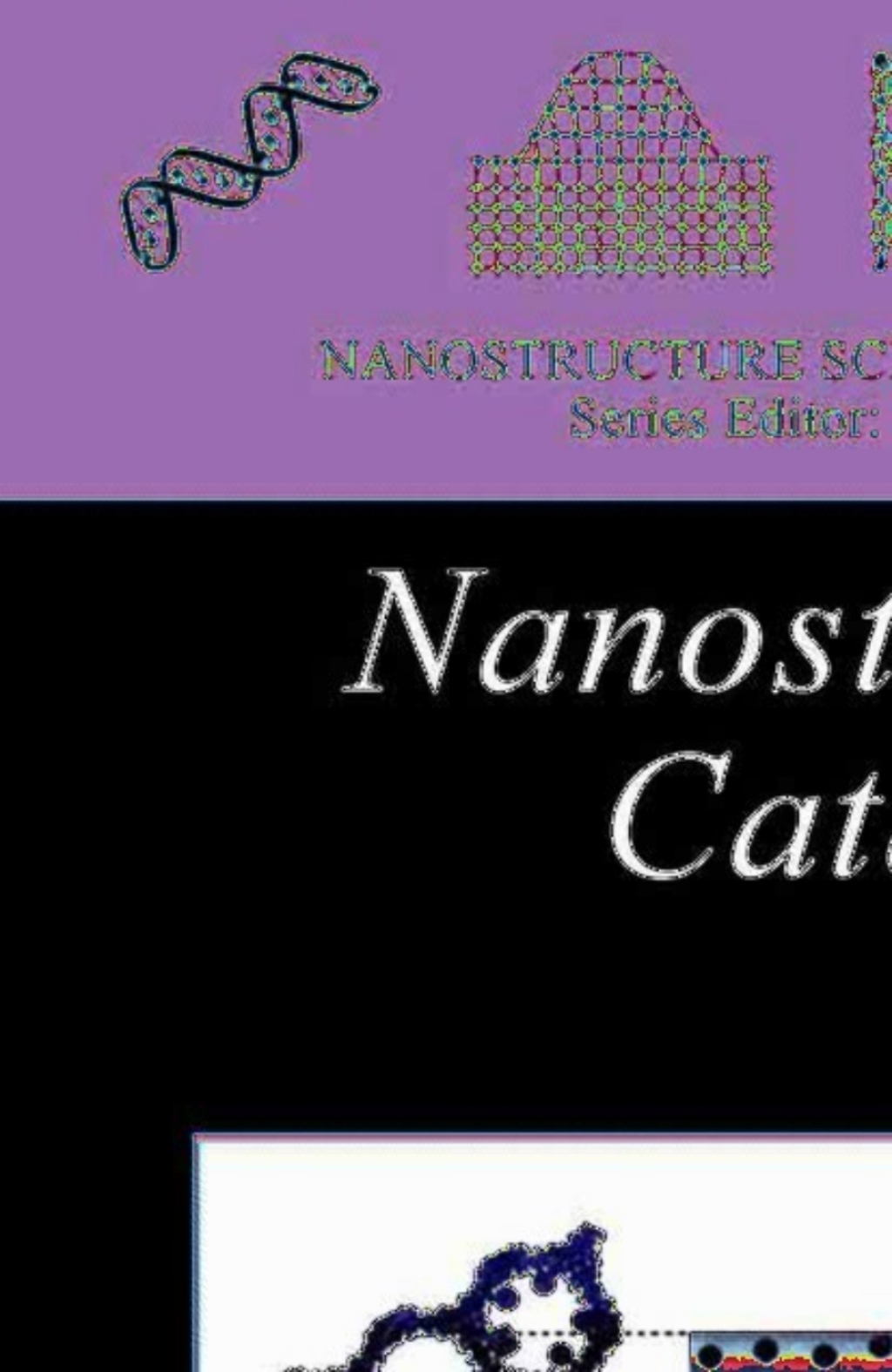 Nanostructured Catalysts 1st Edition â€“ PDF/EPUB Version Downloadable