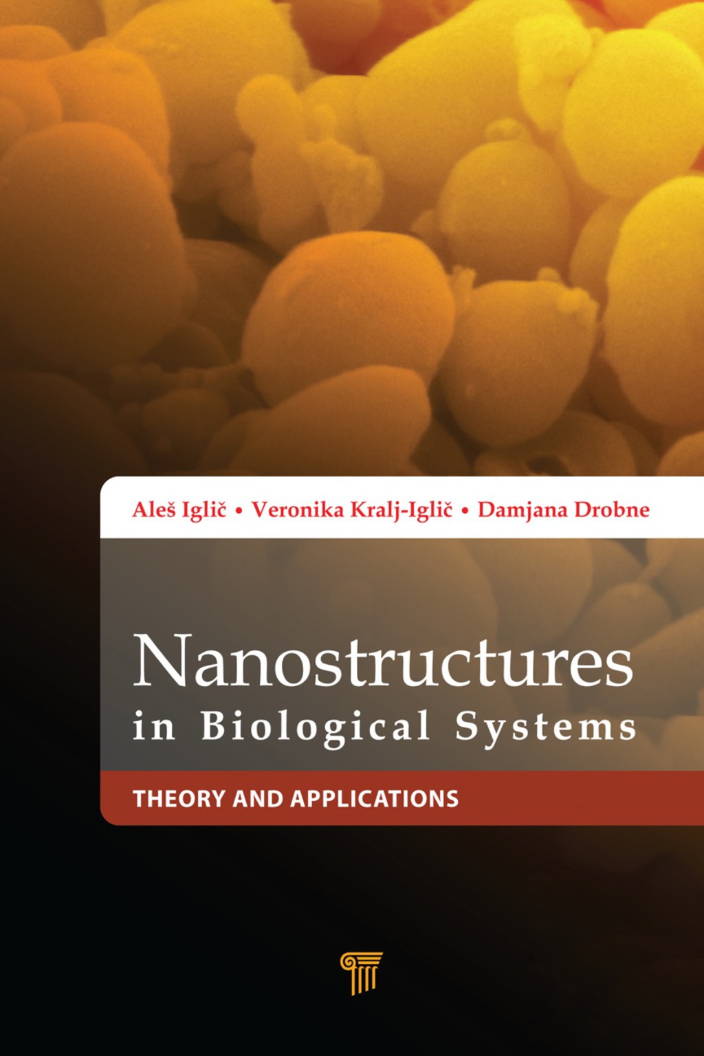 Nanostructures in Biological Systems Theory and Applications 1st Edition â€“ PDF/EPUB Version Downloadable