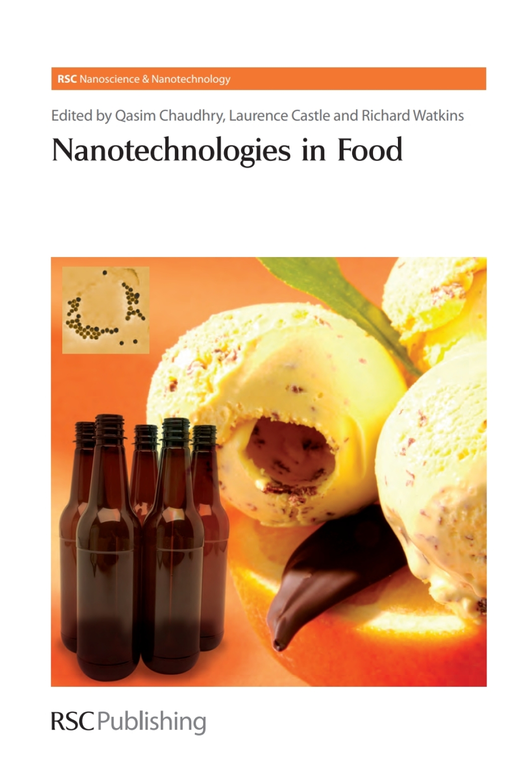 Nanotechnologies in Food 1st Edition â€“ PDF/EPUB Version Downloadable