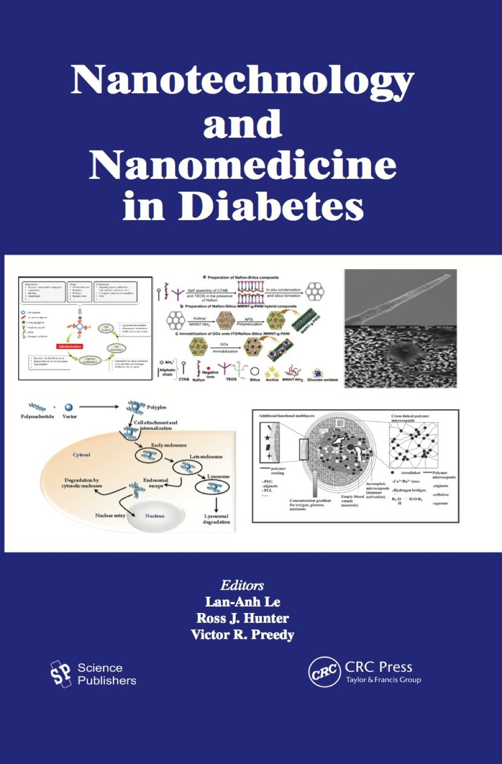 Nanotechnology and Nanomedicine in Diabetes 1st Edition â€“ PDF/EPUB Version Downloadable
