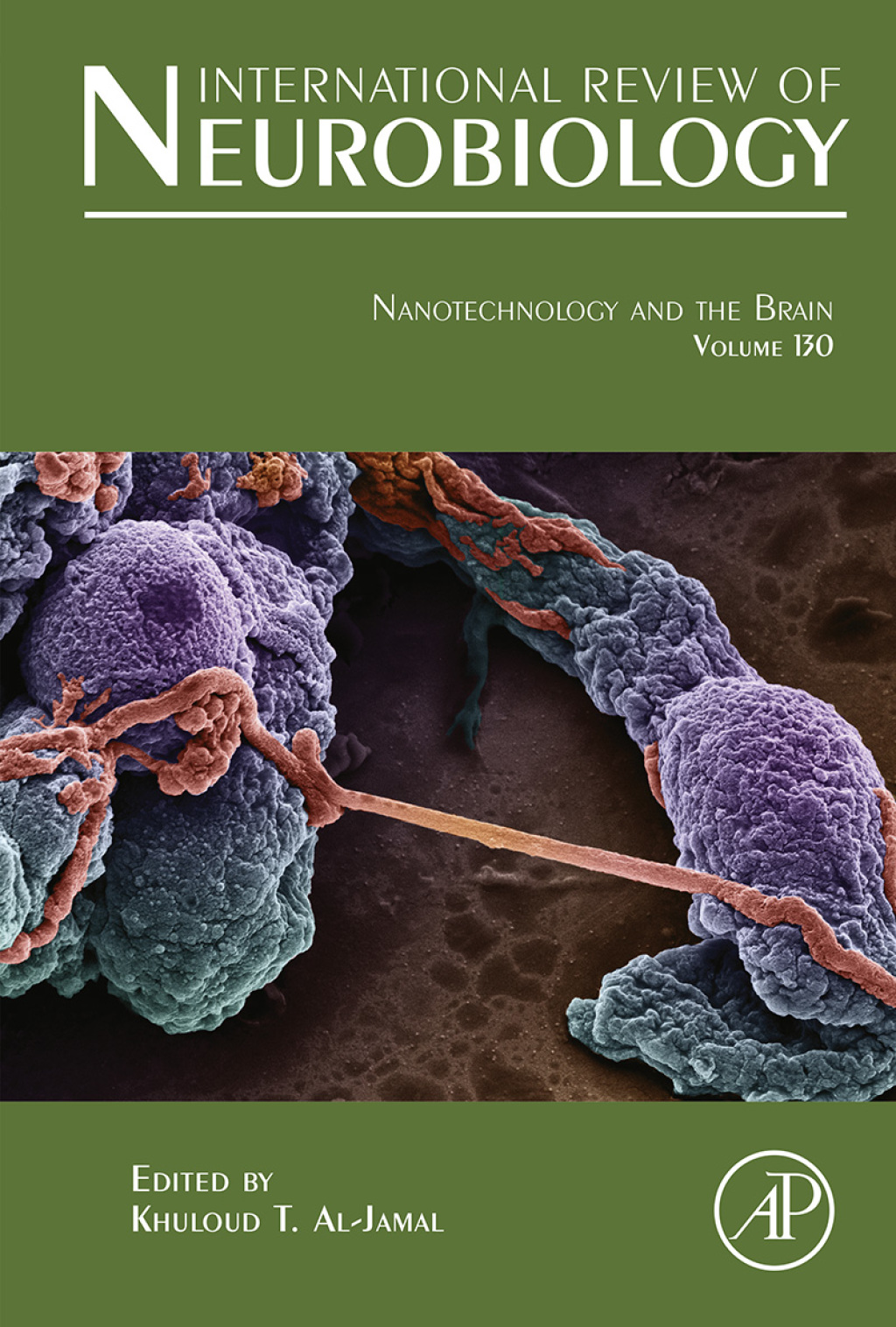 Nanotechnology and the Brain  â€“ PDF/EPUB Version Downloadable