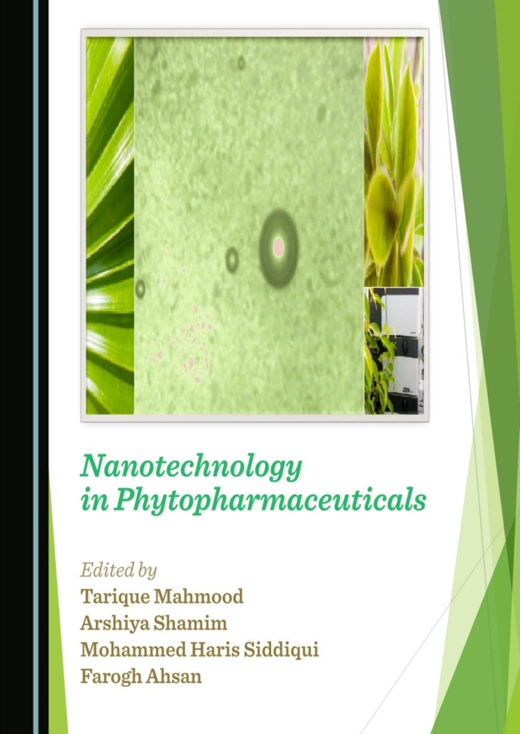 Nanotechnology in Phytopharmaceuticals 1st Edition â€“ PDF/EPUB Version Downloadable