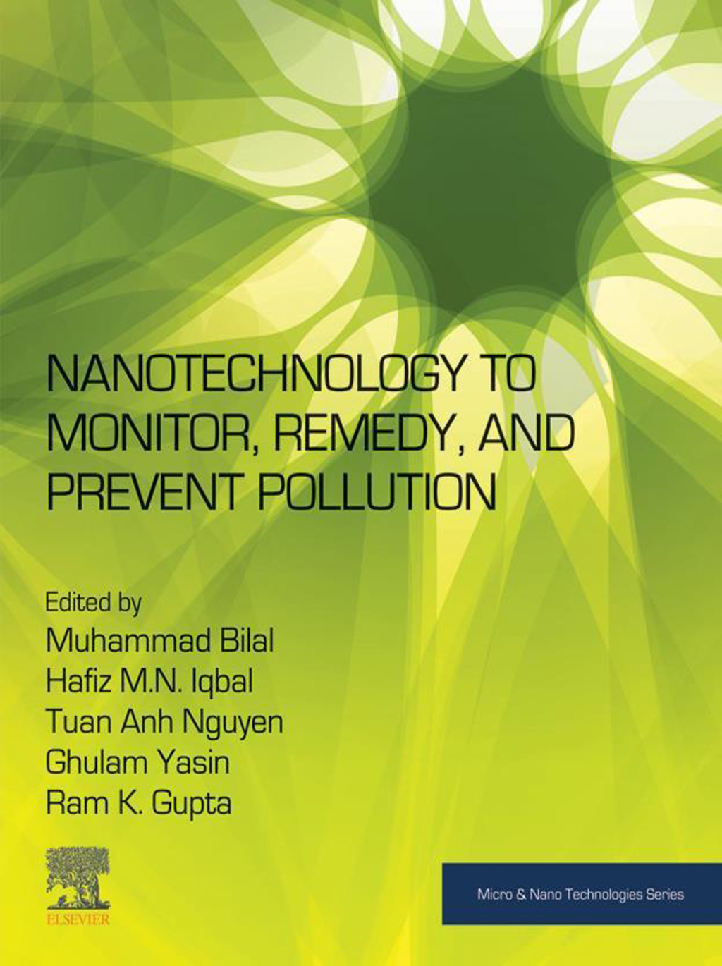 Nanotechnology to Monitor, Remedy, and Prevent Pollution 1st Edition â€“ PDF/EPUB Version Downloadable