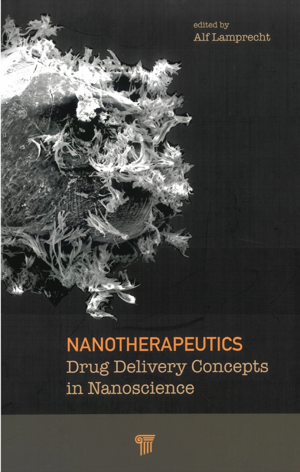 Nanotherapeutics Drug Delivery Concepts in Nanoscience 1st Edition â€“ PDF/EPUB Version Downloadable