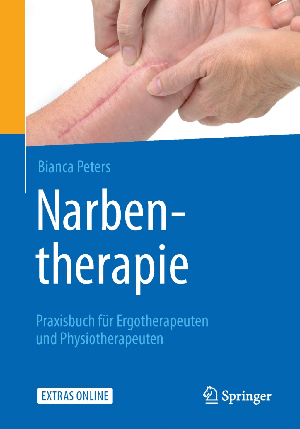 Narbentherapie Praxisbuch fÃ¼r Ergotherapeuten und Physiotherapeuten - (PDF/EPUB Version)
