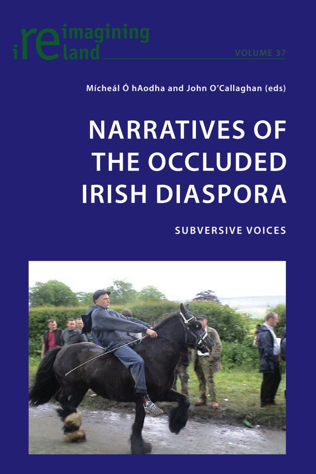 Narratives of the Occluded Irish Diaspora Subversive Voices 1st Edition â€“ PDF/EPUB Version Downloadable