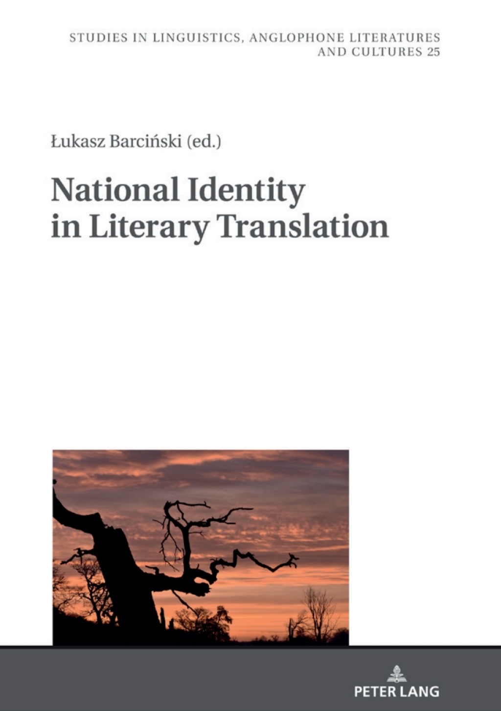 National Identity in Literary Translation 1st Edition â€“ PDF/EPUB Version Downloadable