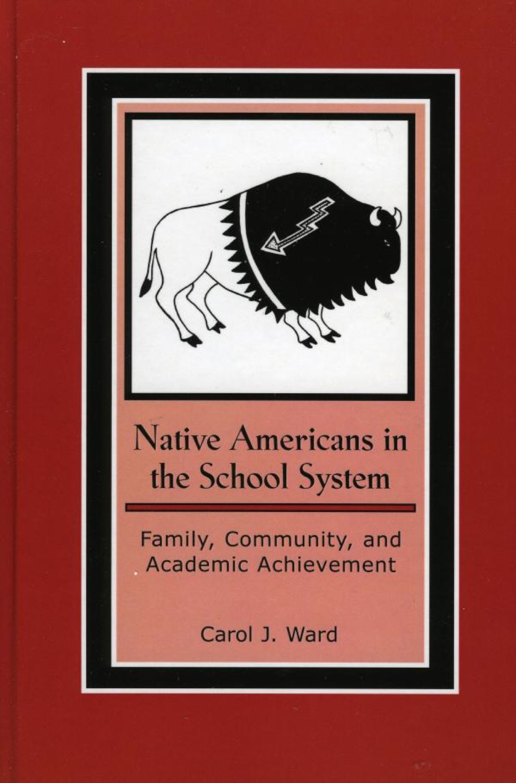 Native Americans in the School System  â€“ PDF/EPUB Version Downloadable