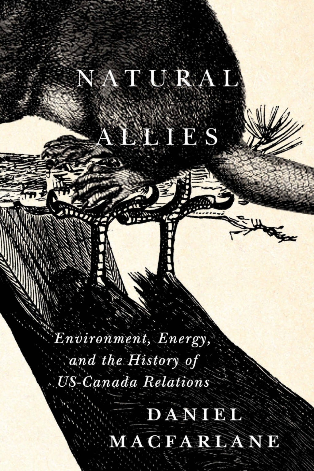 Natural Allies Environment, Energy, and the History of US-Canada Relations  â€“ PDF/EPUB Version Downloadable