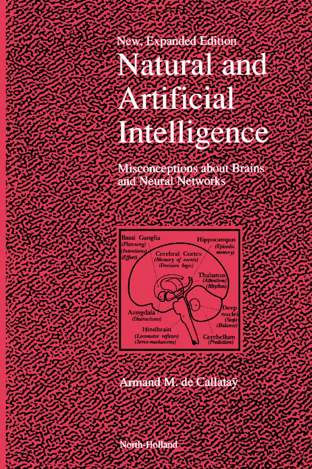 Natural and Artificial Intelligence Misconceptions about Brains and Neural Networks  â€“ PDF/EPUB Version Downloadable