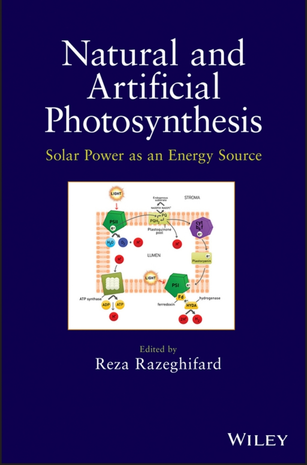 Natural and Artificial Photosynthesis Solar Power as an Energy Source 1st Edition â€“ PDF/EPUB Version Downloadable