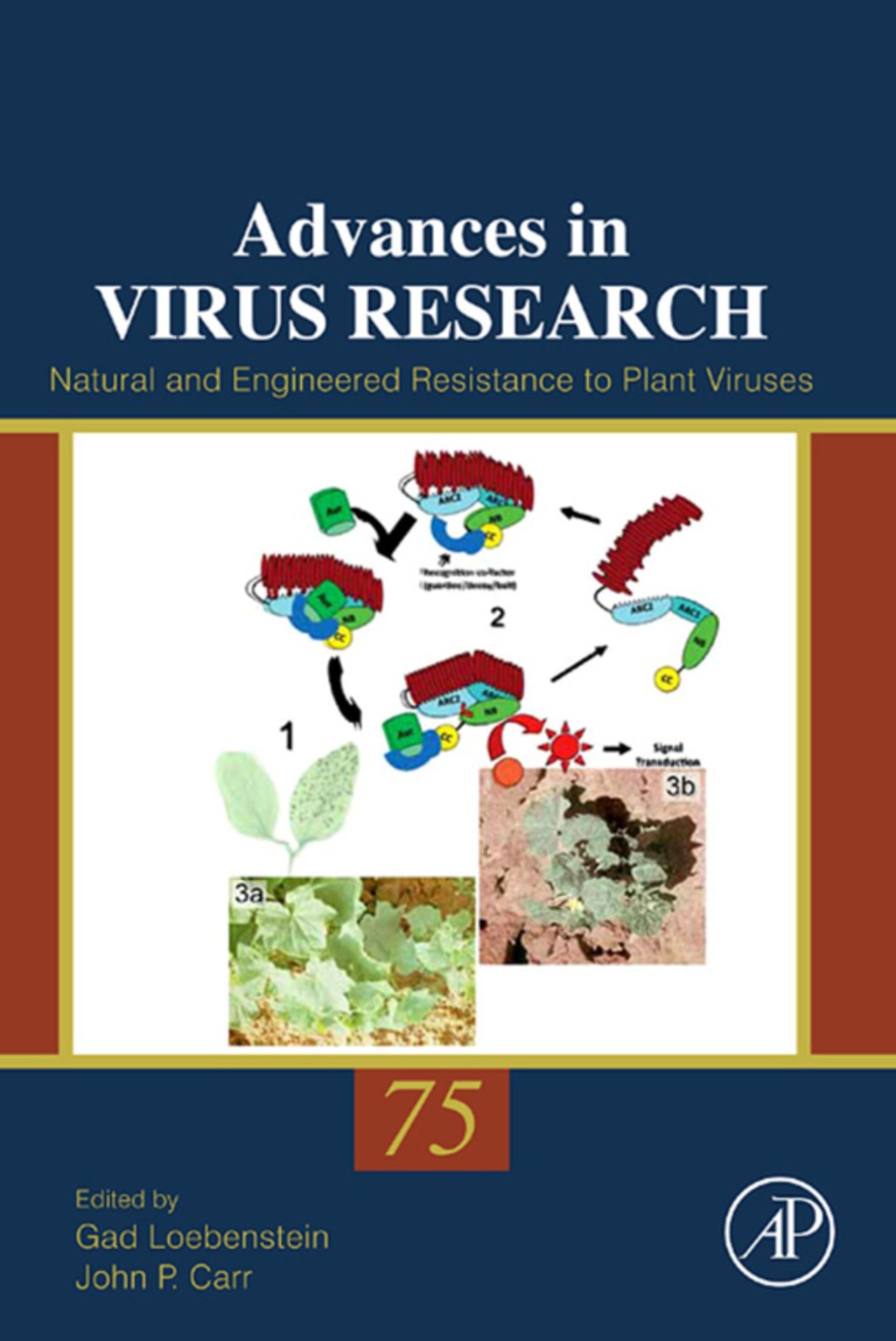 Natural and Engineered Resistance to Plant Viruses  â€“ PDF/EPUB Version Downloadable