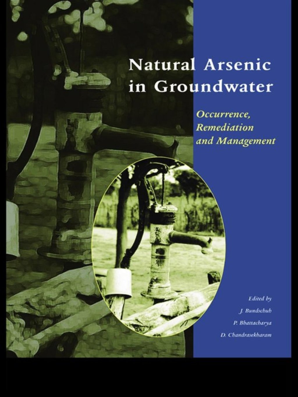 Natural Arsenic in Groundwater Proceedings of the Pre-Congress Workshop "Natural Arsenic in Groundwater", 32nd International Geological Congress, Florence, Italy, 18-19 August 2004 1st Edition â€“ PDF/EPUB Version Downloadable