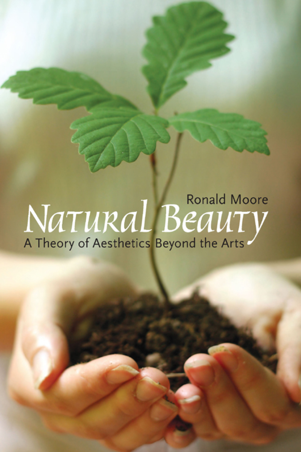 Natural Beauty: A Theory of Aesthetics Beyond the Arts  â€“ PDF/EPUB Version Downloadable