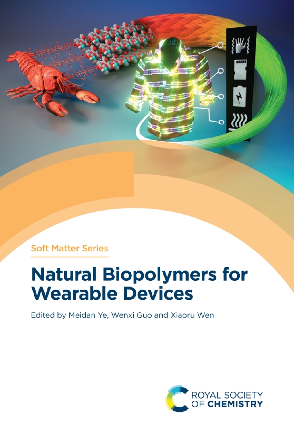 Natural Biopolymers for Wearable Devices 1st Edition â€“ PDF/EPUB Version Downloadable
