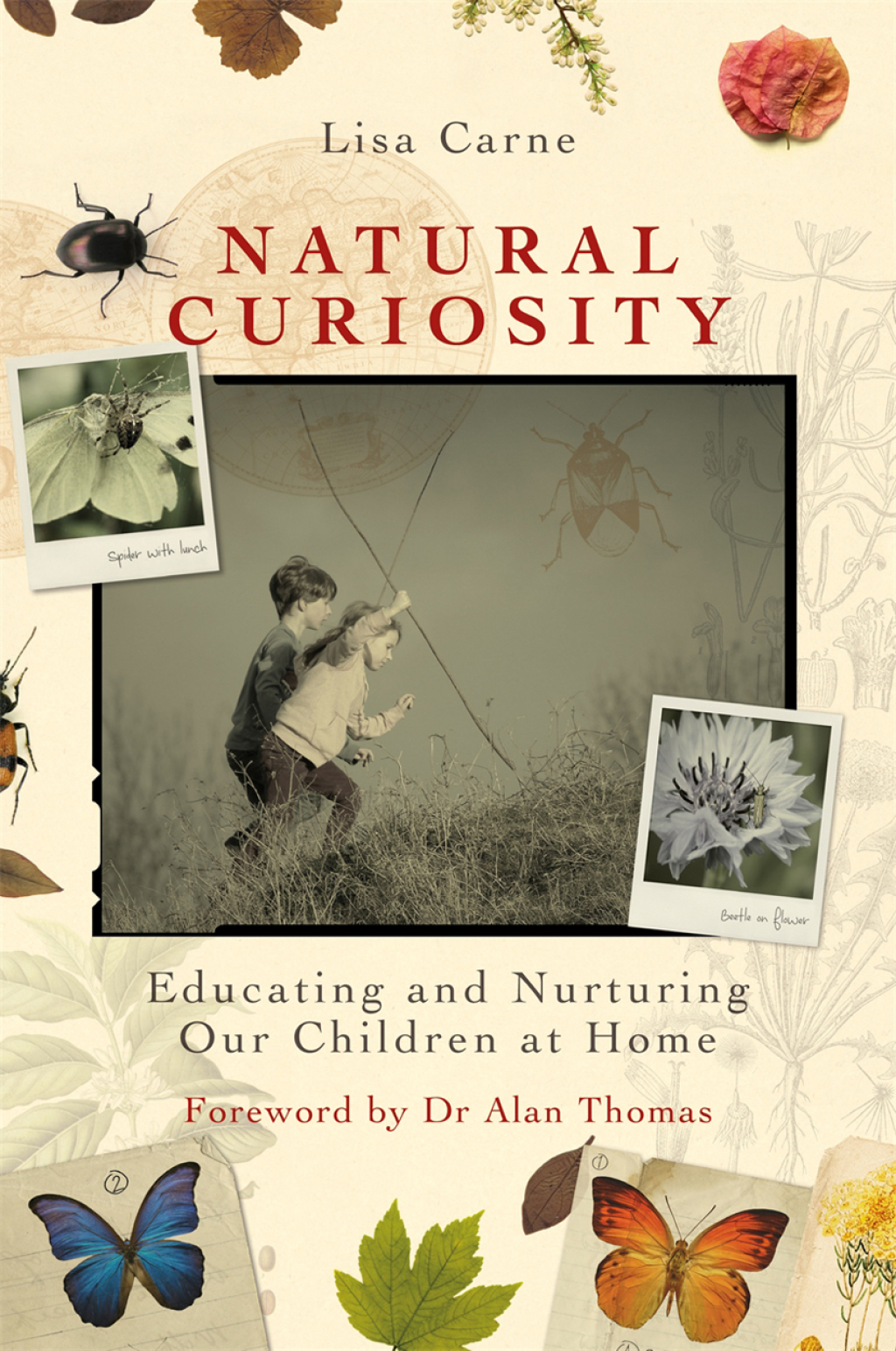 Natural Curiosity Educating and Nurturing Our Children at Home - (PDF/EPUB Version)