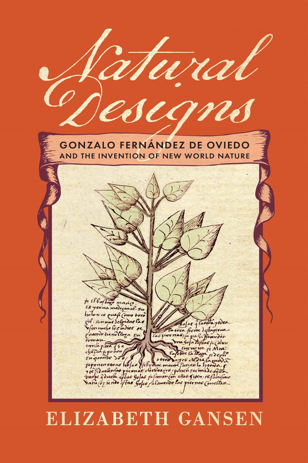 Natural Designs Gonzalo FernÃ¡ndez de Oviedo and the Invention of New World Nature  â€“ PDF/EPUB Version Downloadable
