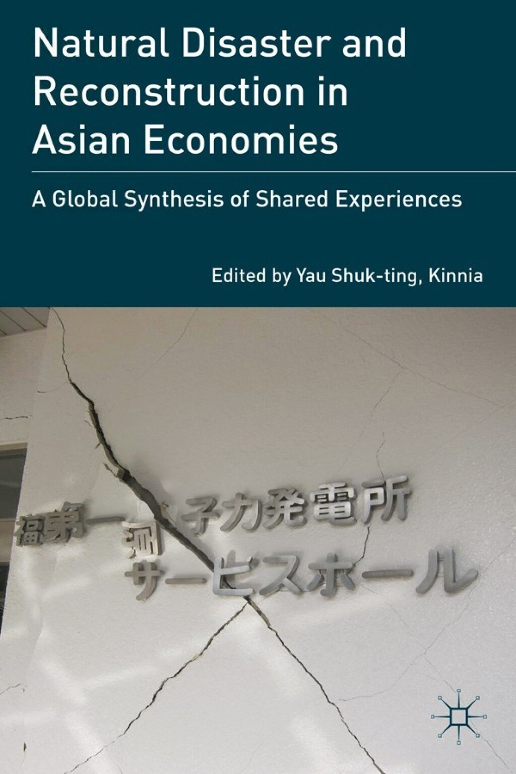 Natural Disaster and Reconstruction in Asian Economies A Global Synthesis of Shared Experiences  â€“ PDF/EPUB Version Downloadable