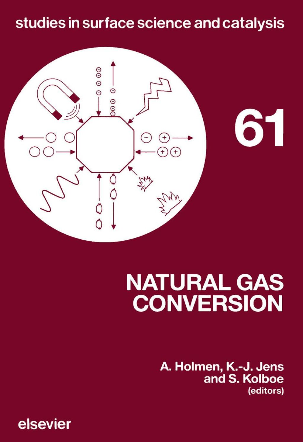 Natural Gas Conversion  â€“ PDF/EPUB Version Downloadable