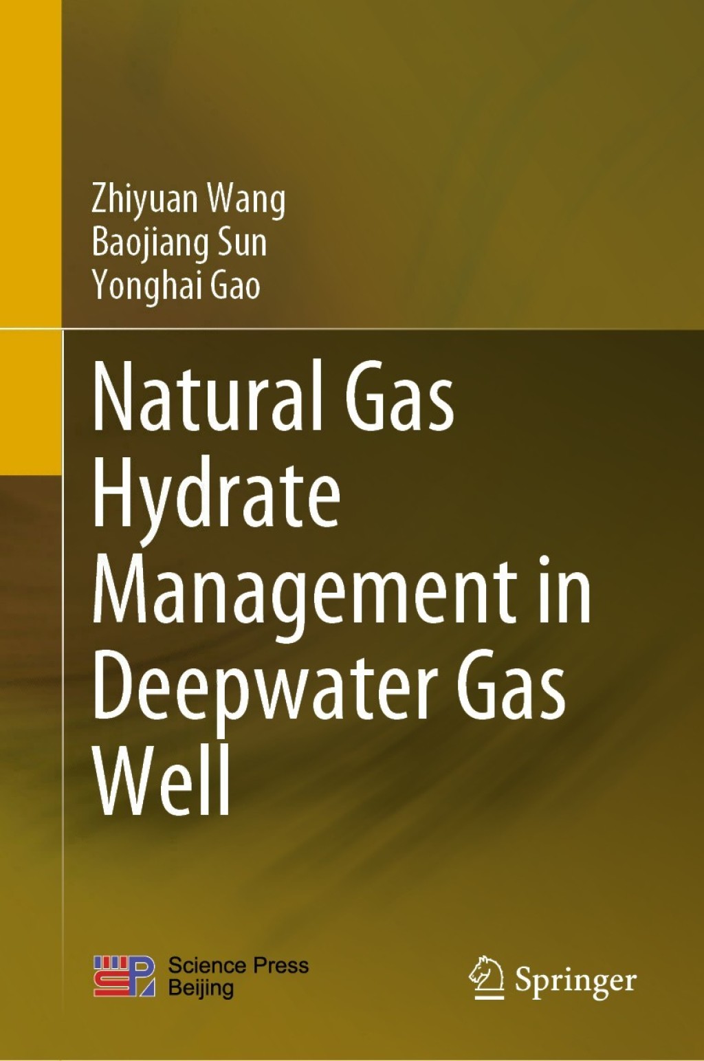 Natural Gas Hydrate Management in Deepwater Gas Well  â€“ PDF/EPUB Version Downloadable