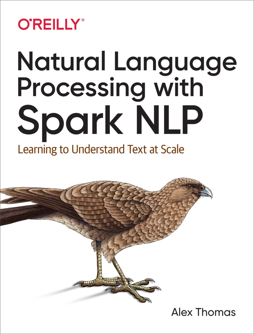 Natural Language Processing with Spark NLP Learning to Understand Text at Scale 1st Edition â€“ PDF/EPUB Version Downloadable