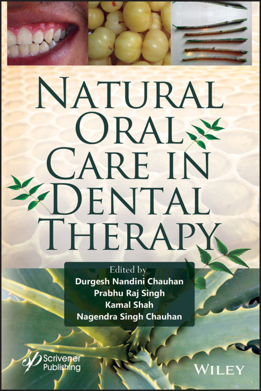 Natural Oral Care in Dental Therapy 1st Edition â€“ PDF/EPUB Version Downloadable
