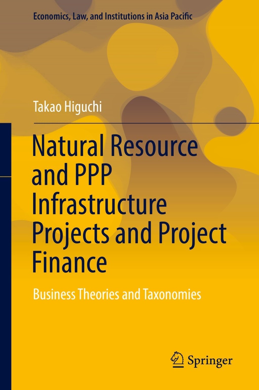 Natural Resource and PPP Infrastructure Projects and Project Finance Business Theories and Taxonomies  â€“ PDF/EPUB Version Downloadable