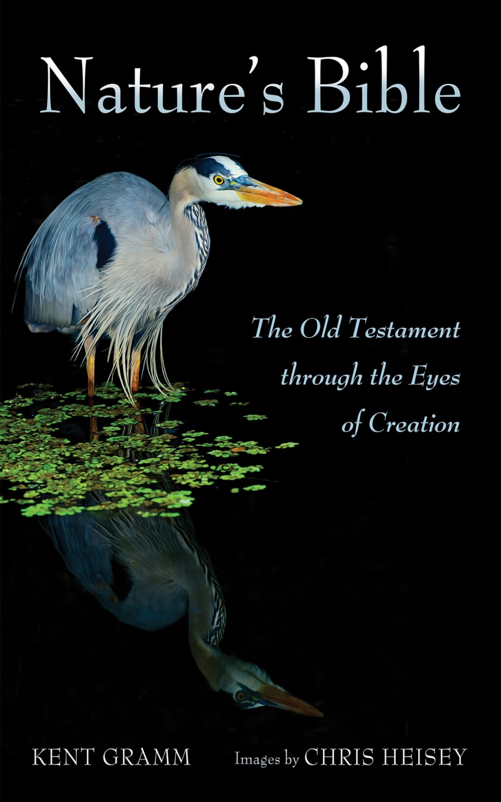 Natureâ€™s Bible The Old Testament through the Eyes of Creation  â€“ PDF/EPUB Version Downloadable