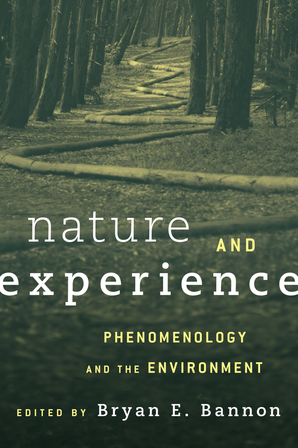 Nature and Experience Phenomenology and the Environment 1st Edition â€“ PDF/EPUB Version Downloadable
