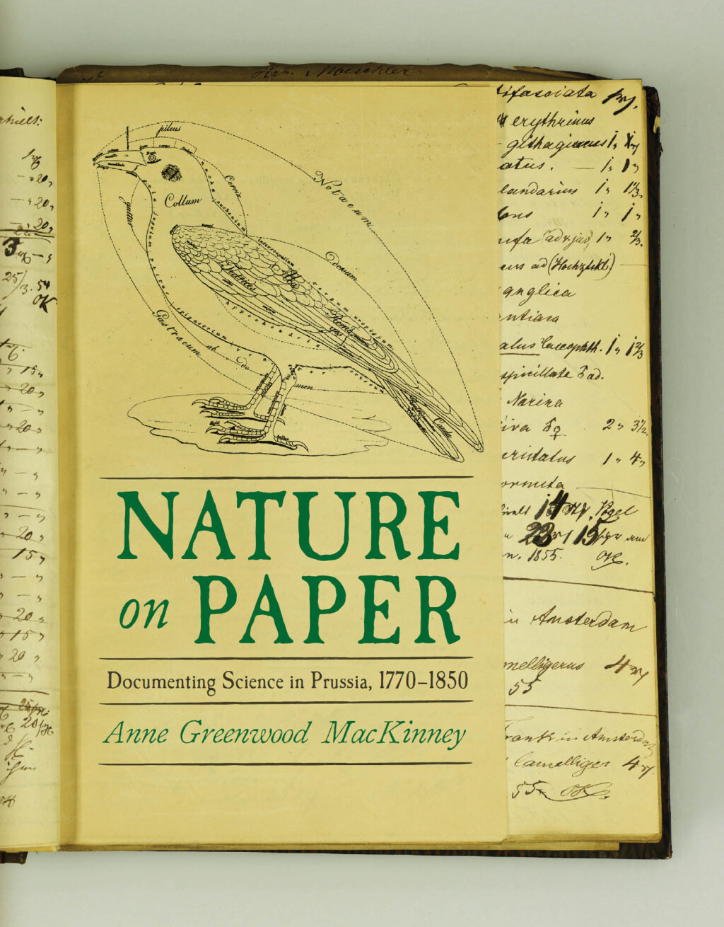 Nature on Paper Documenting Science in Prussia, 1770-1850  â€“ PDF/EPUB Version Downloadable