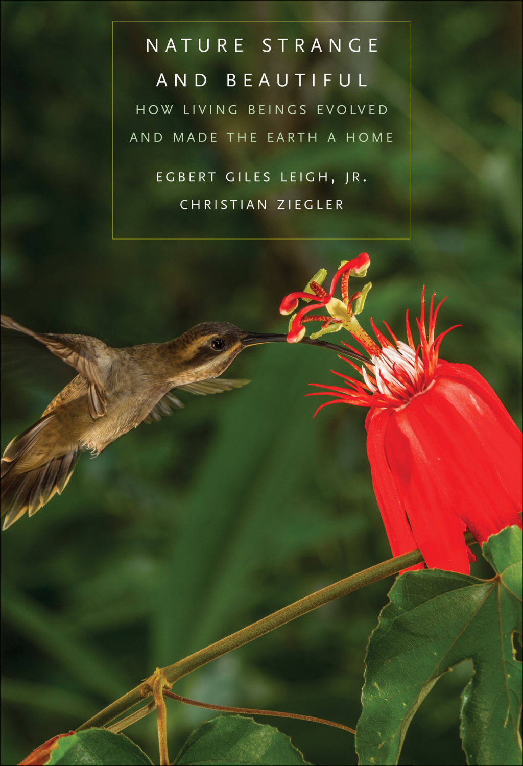 Nature Strange and Beautiful How Living Beings Evolved and Made the Earth a Home - (PDF/EPUB Version)