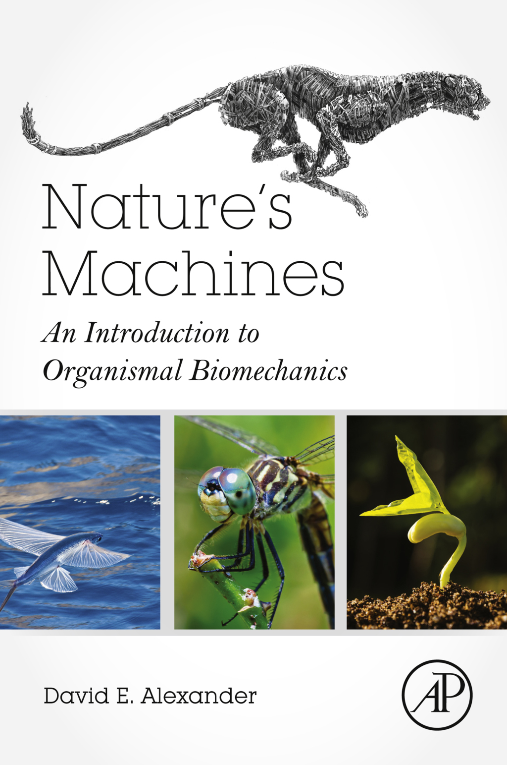 Nature's Machines An Introduction to Organismal Biomechanics  â€“ PDF/EPUB Version Downloadable