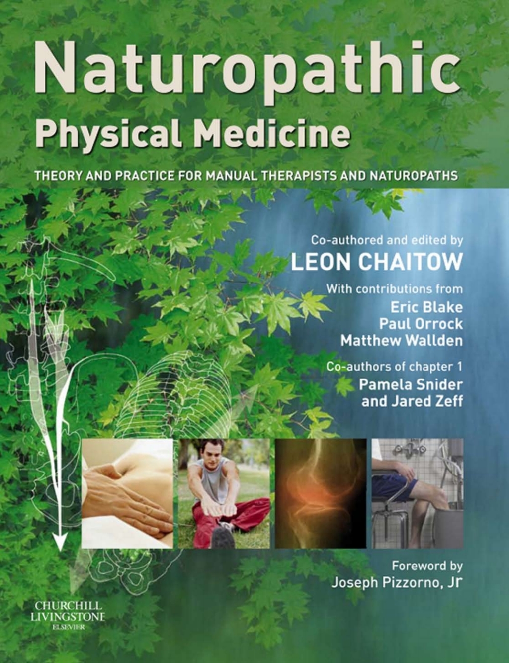 Naturopathic Physical Medicine Theory and Practice for Manual Therapists and Naturopaths  â€“ PDF/EPUB Version Downloadable