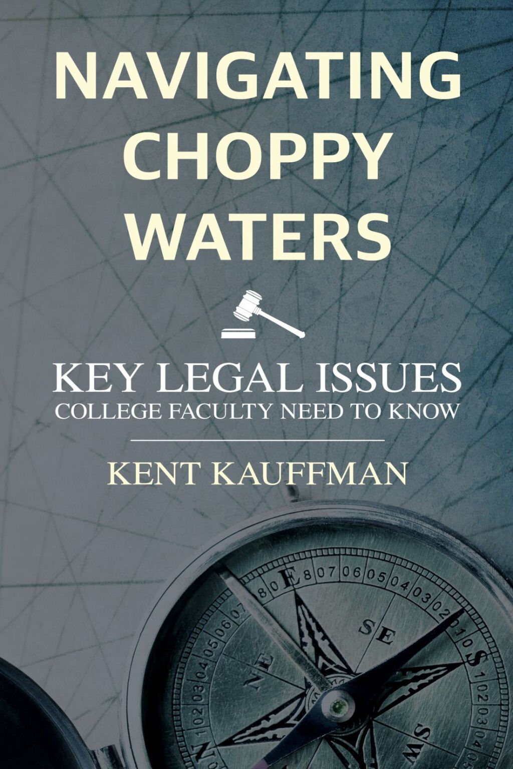 Navigating Choppy Waters Key Legal Issues College Faculty Need to Know 1st Edition â€“ PDF/EPUB Version Downloadable