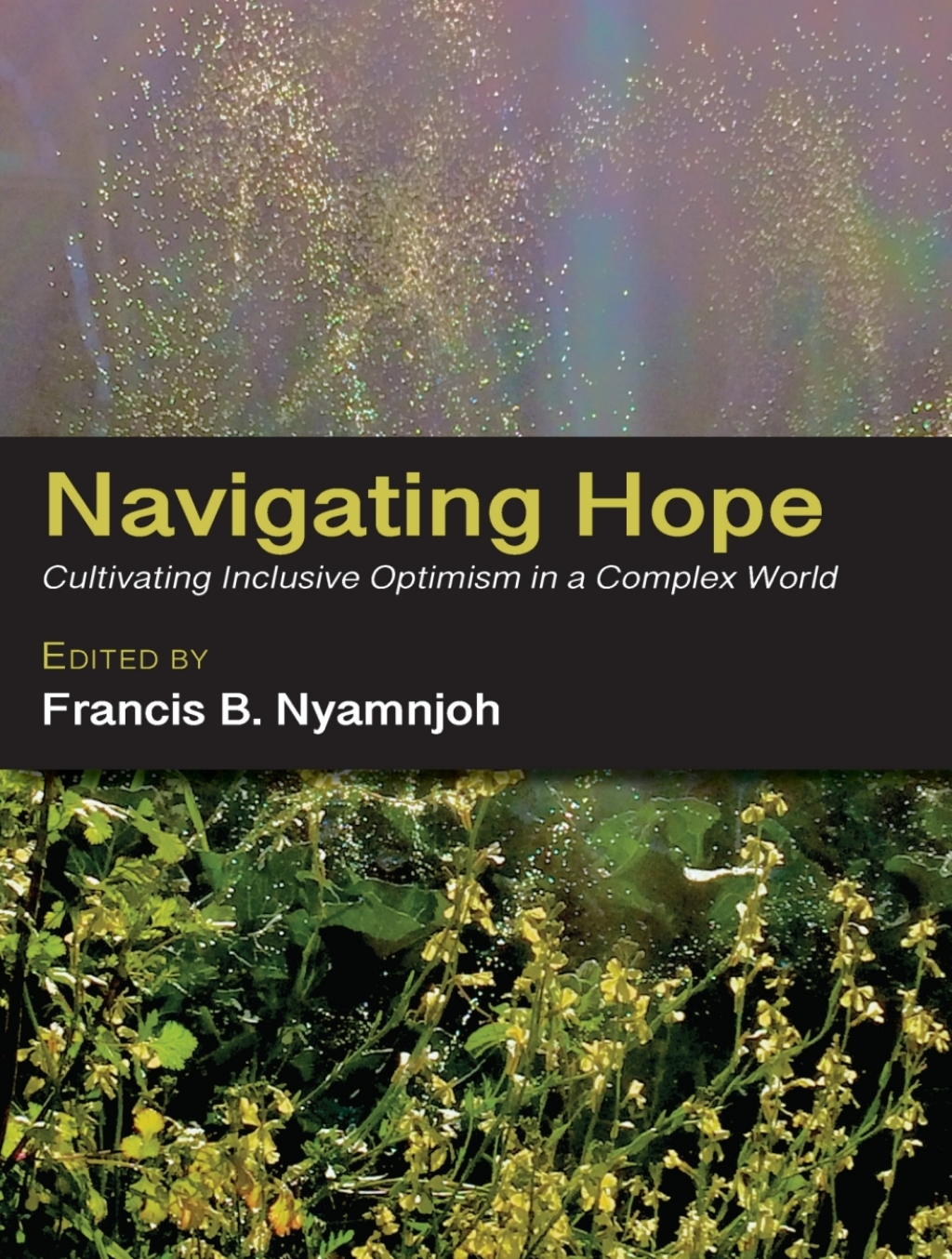 Navigating Hope Cultivating Inclusive Optimism in a Complex World  â€“ PDF/EPUB Version Downloadable