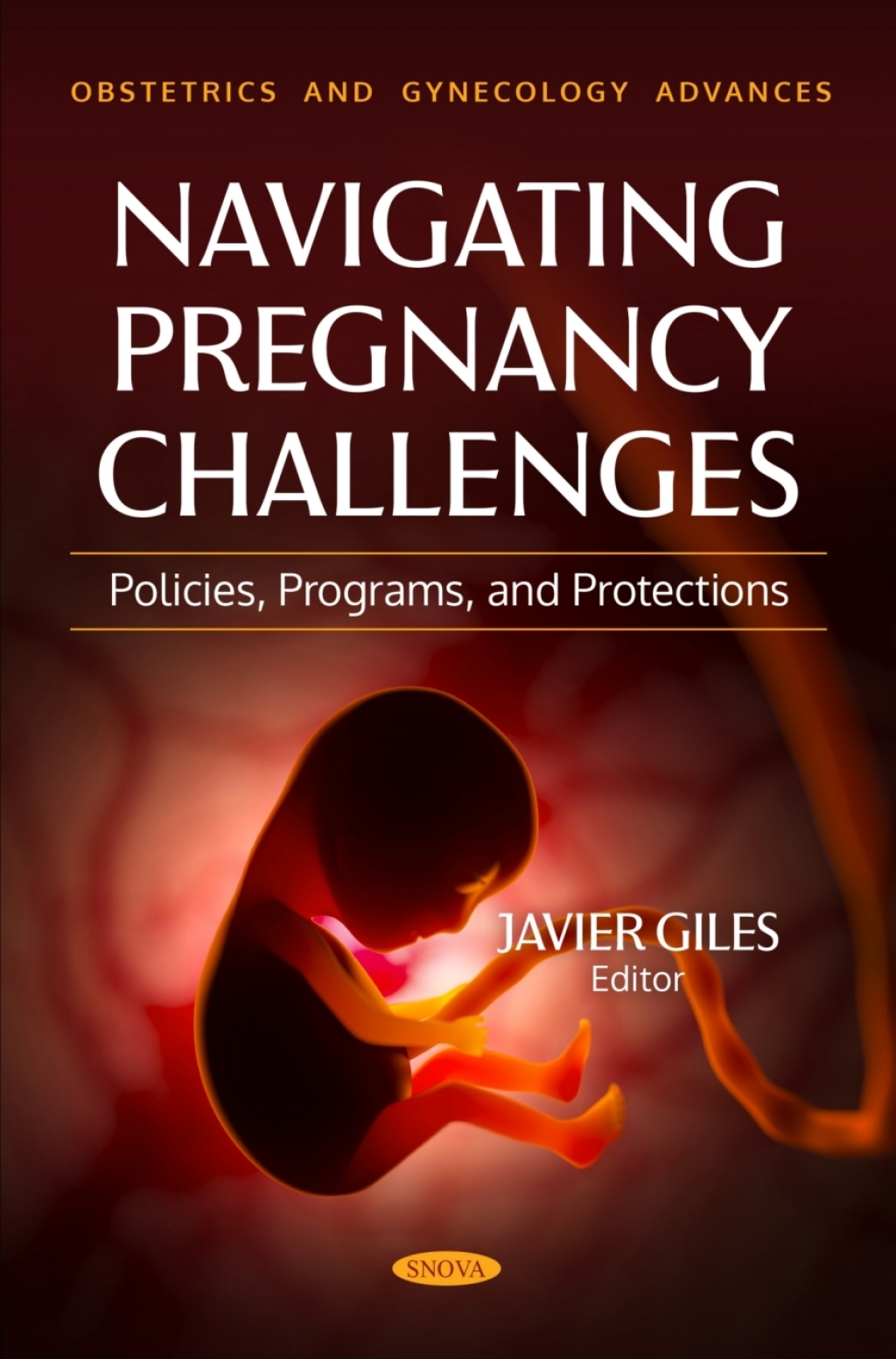 Navigating Pregnancy Challenges: Policies, Programs, and Protections  â€“ PDF/EPUB Version Downloadable