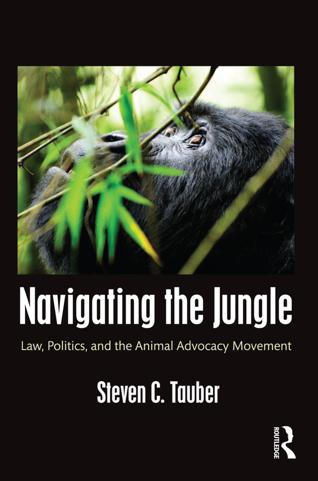 Navigating the Jungle - (PDF/EPUB Version)
