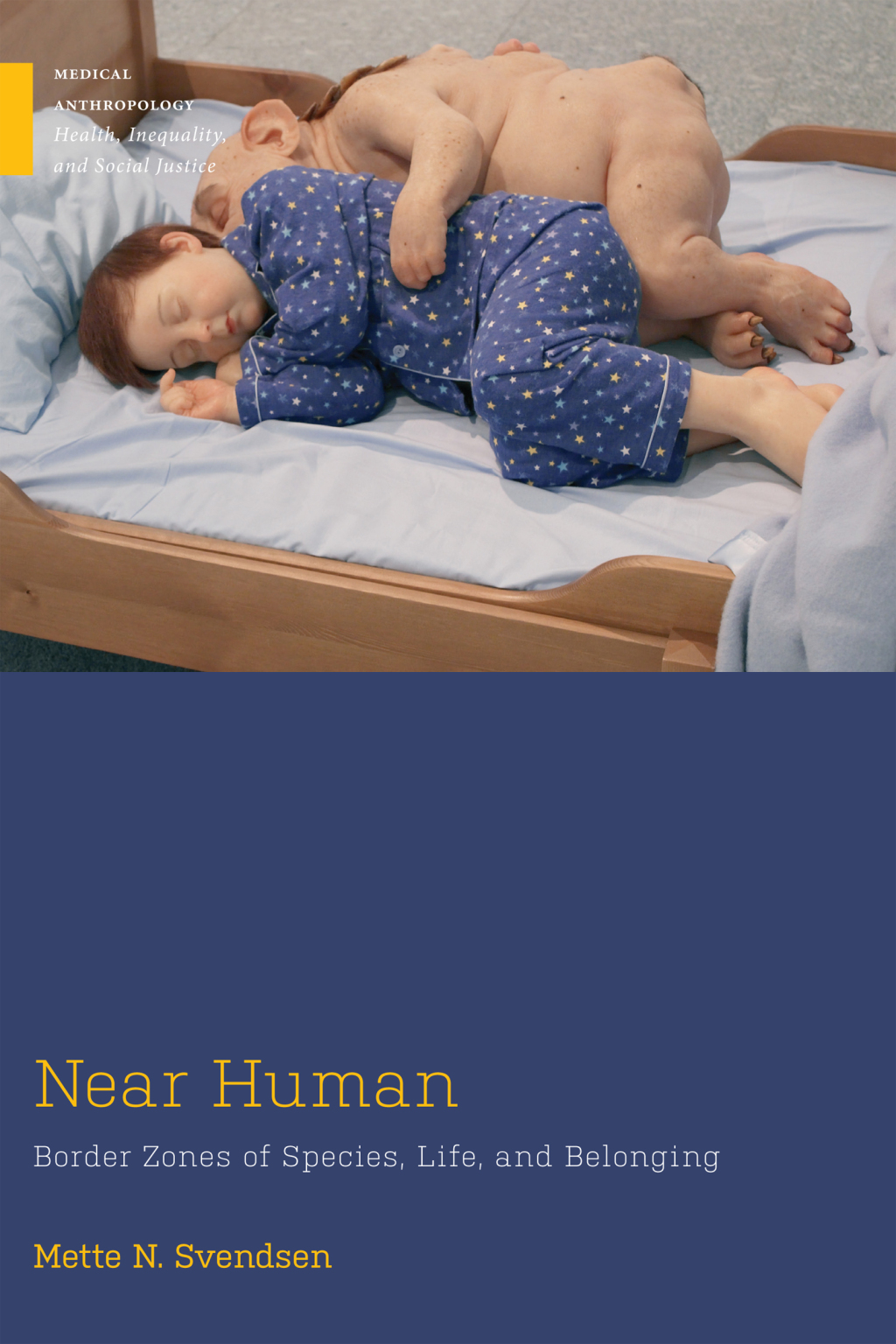 Near Human Border Zones of Species, Life, and Belonging  â€“ PDF/EPUB Version Downloadable
