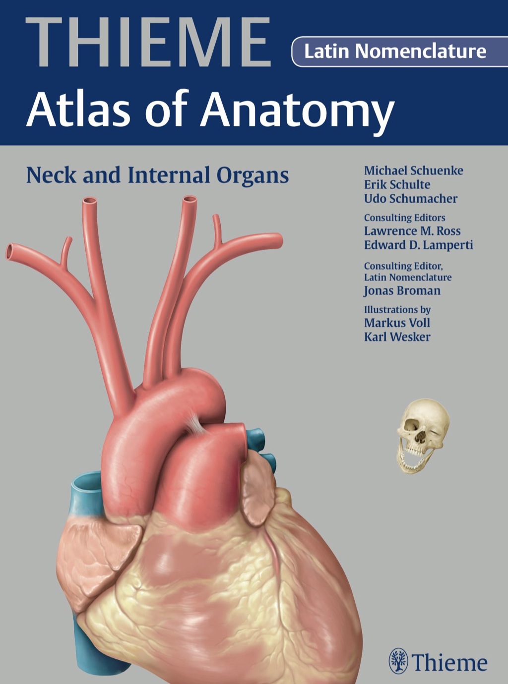 Neck and Internal Organs (THIEME Atlas of Anatomy) 1st Edition â€“ PDF/EPUB Version Downloadable