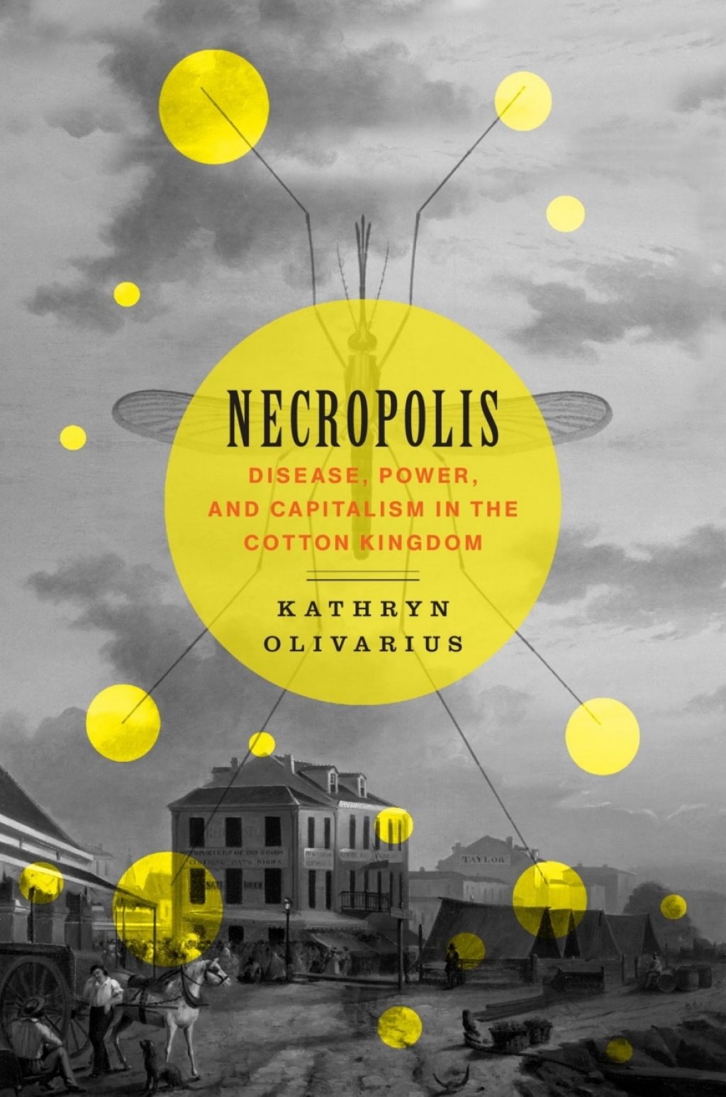 Necropolis Disease, Power, and Capitalism in the Cotton Kingdom - (PDF/EPUB Version)