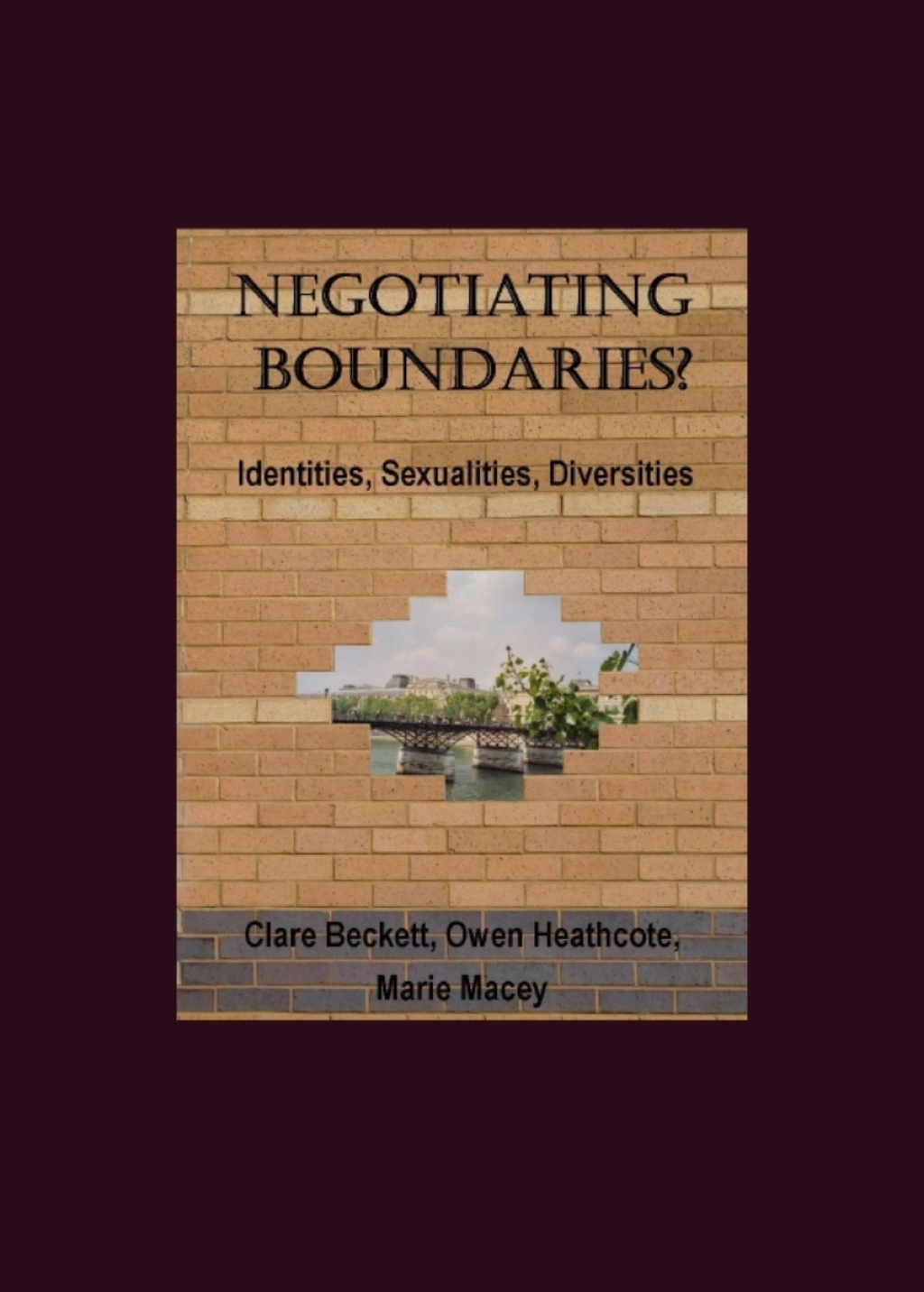 Negotiating Boundaries? Identities, Sexualities, Diversities 1st Edition â€“ PDF/EPUB Version Downloadable