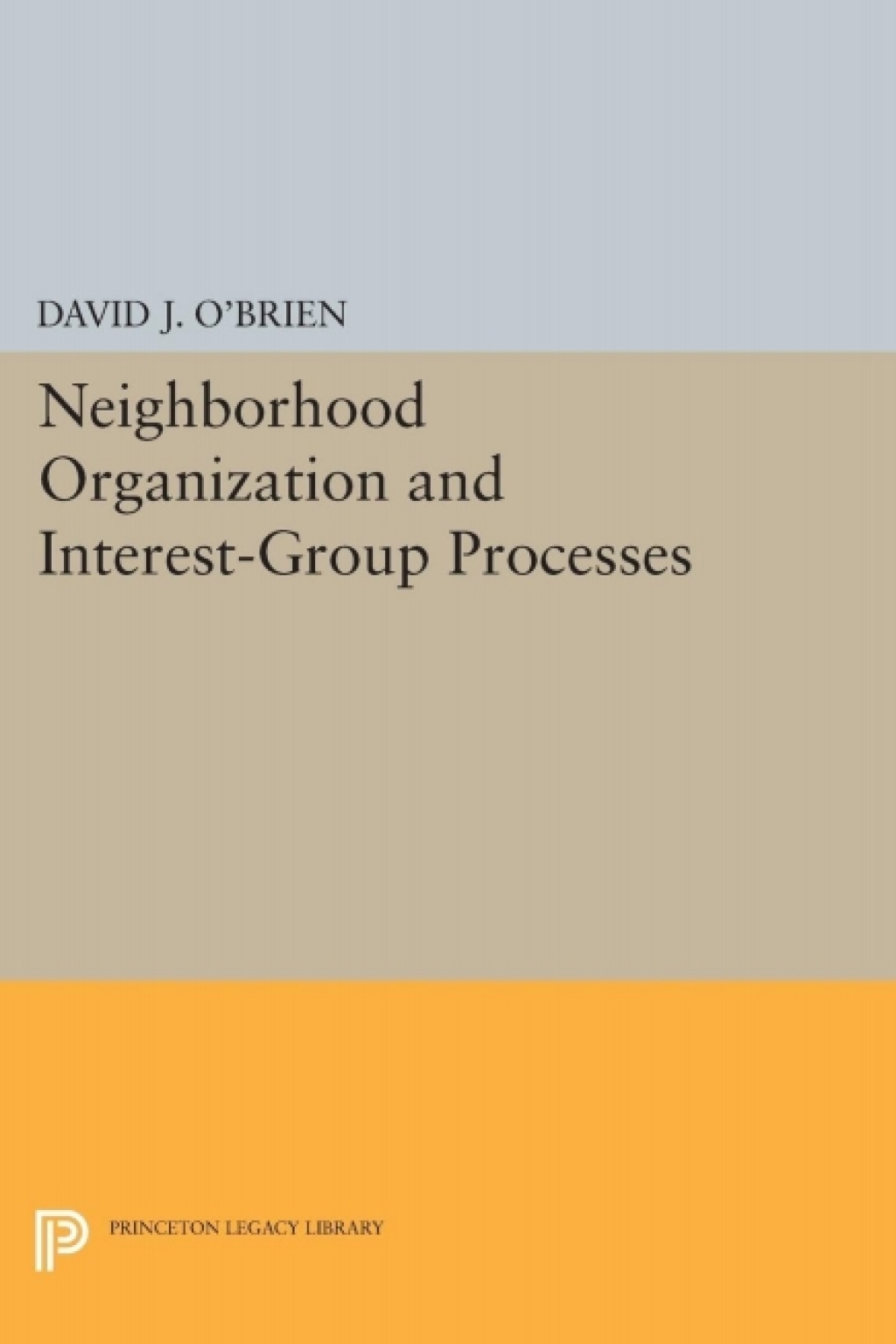 Neighborhood Organization and Interest-Group Processes  â€“ PDF/EPUB Version Downloadable